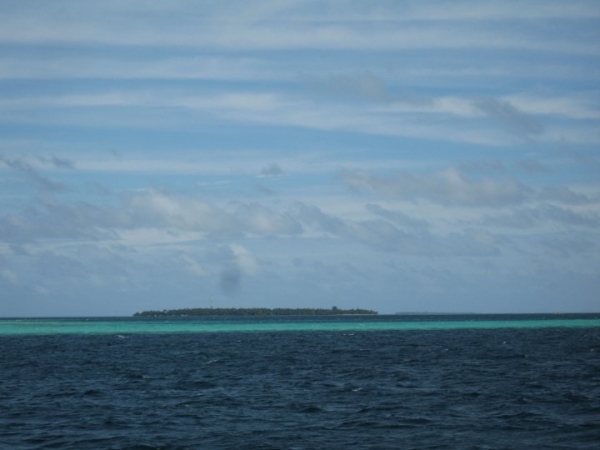 Pic_323.jpg
