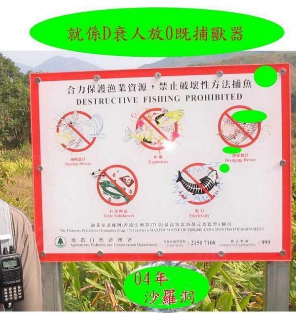 沙羅洞
