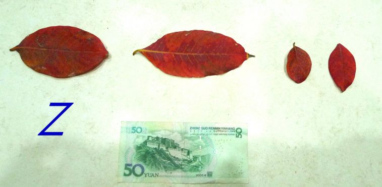 902.jpg