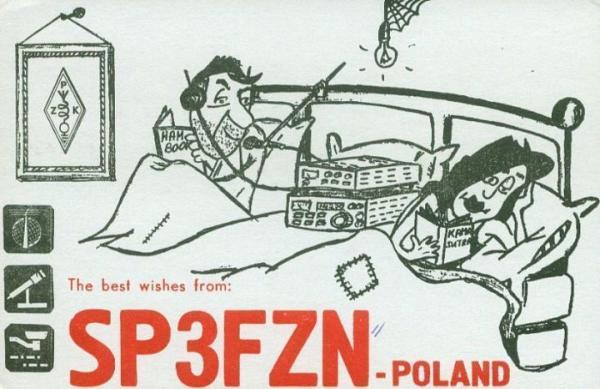 SP3.jpg